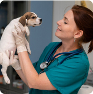 Katona Ramóna csapat